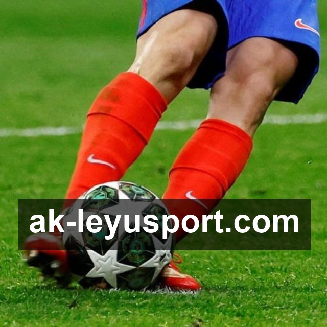 乐鱼体育贴心服务